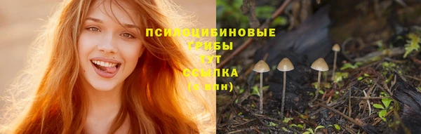 ешки Пролетарск