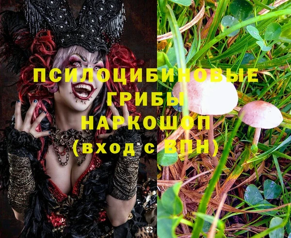 тгк Абинск