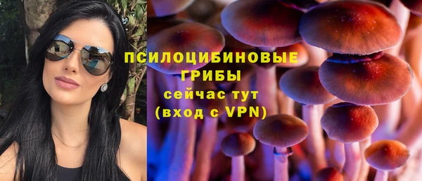 ешки Пролетарск
