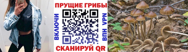 даркнет официальный сайт  Белоусово  Псилоцибиновые грибы мухоморы  hydra сайт 